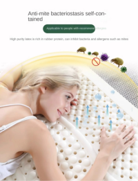 Latex Mattress